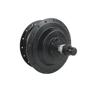 Mountain-Ride Ebike Motor - 3