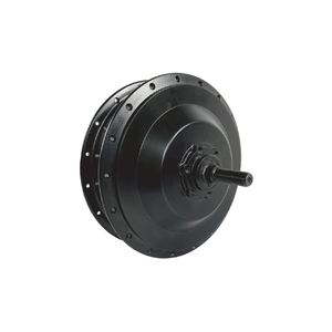 Mountain-Ride Ebike Motor - 1 