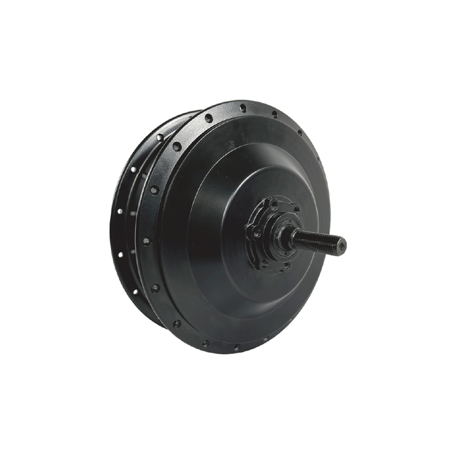 Mountain-Ride Ebike Motor - 1 