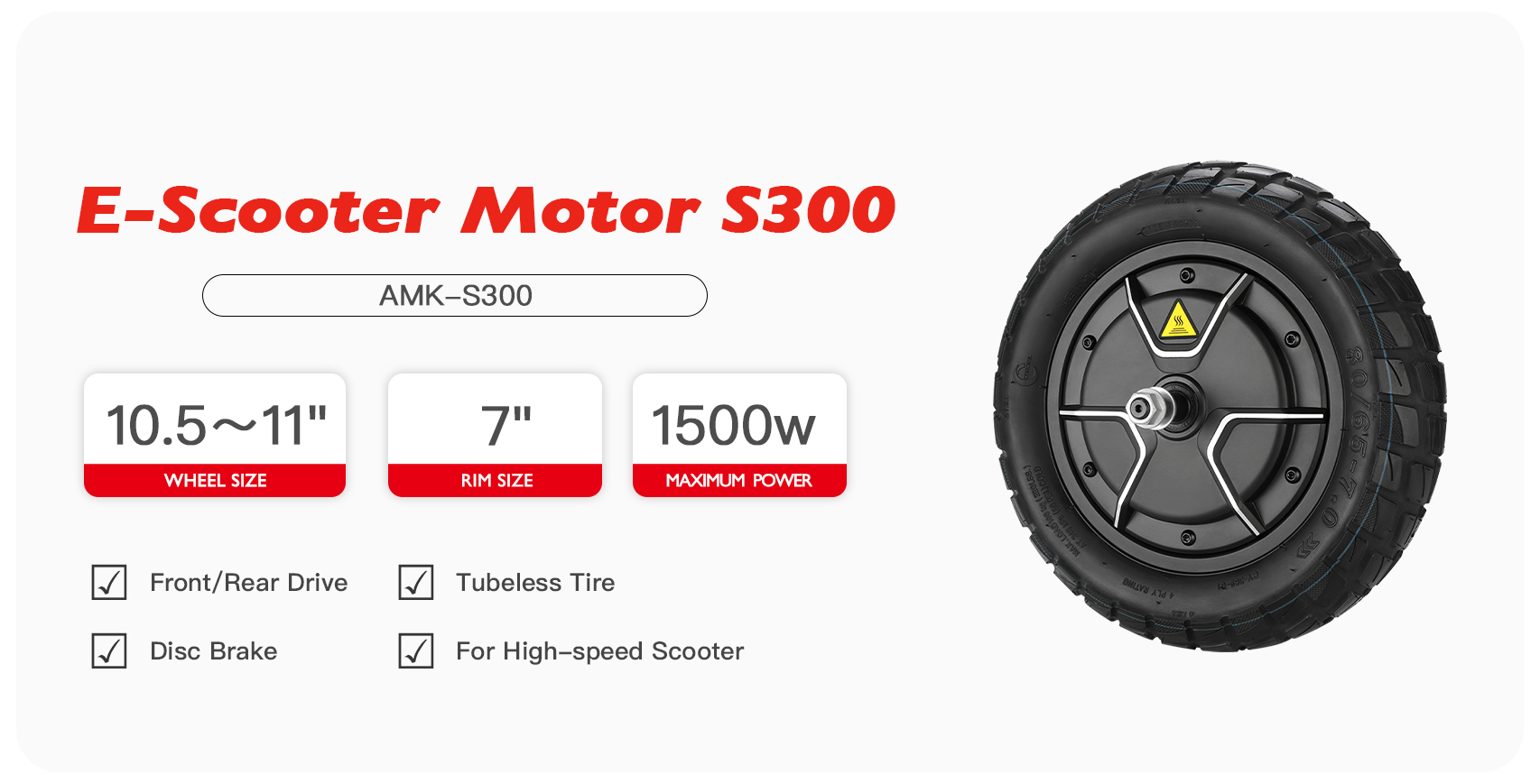 S300